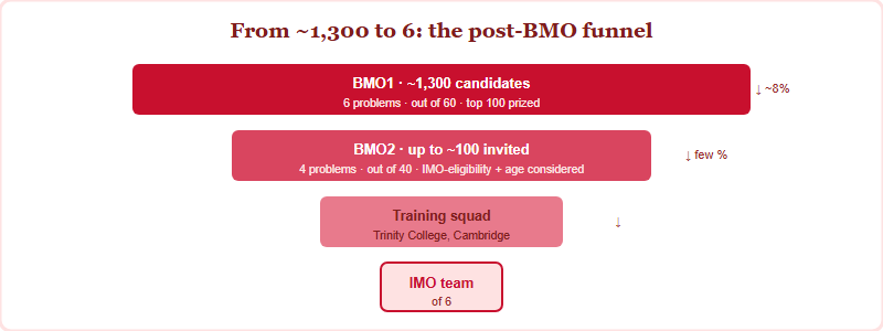 Funnel narrowing from 1300 BMO1 candidates to 100 at BMO2 to a small squad to a team of six at the IMO